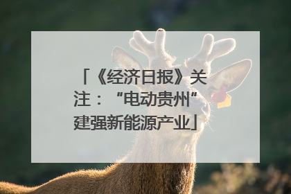 《经济日报》关注：“电动贵州”建强新能源产业