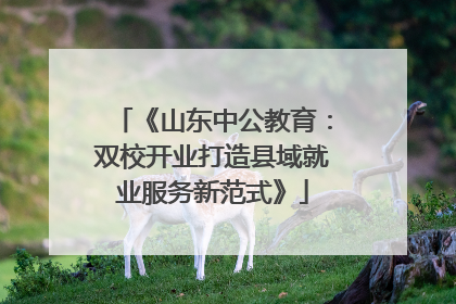 《山东中公教育：双校开业打造县域就业服务新范式》