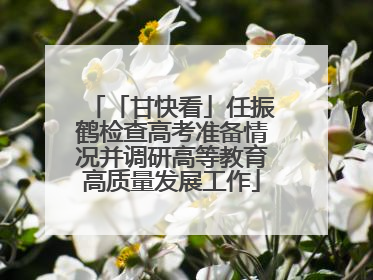 「甘快看」任振鹤检查高考准备情况并调研高等教育高质量发展工作