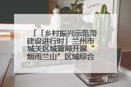 「乡村振兴示范带建设进行时」兰州市城关区城管局开展“烟雨兰山”区域综合整治专项行动