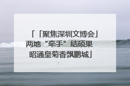 「聚焦深圳文博会」两地“牵手”结硕果 昭通皇菊香飘鹏城