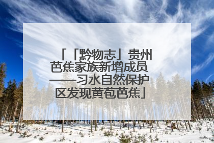 「黔物志」贵州芭蕉家族新增成员——习水自然保护区发现黄苞芭蕉