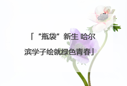 “瓶袋”新生 哈尔滨学子绘就绿色青春