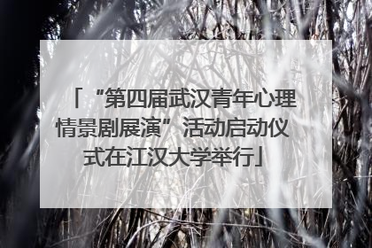 “第四届武汉青年心理情景剧展演”活动启动仪式在江汉大学举行