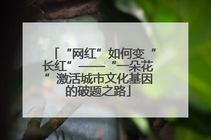 “网红”如何变“长红”——“一朵花”激活城市文化基因的破题之路