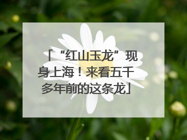 “红山玉龙”现身上海！来看五千多年前的这条龙