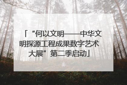 “何以文明——中华文明探源工程成果数字艺术大展”第二季启动