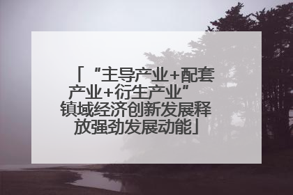 “主导产业+配套产业+衍生产业” 镇域经济创新发展释放强劲发展动能