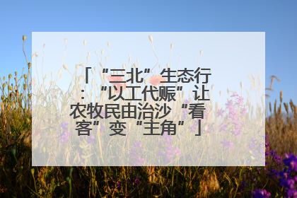 “三北”生态行：“以工代赈”让农牧民由治沙“看客”变“主角”