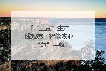 “三夏”生产一线观察丨智能农业“慧”丰收