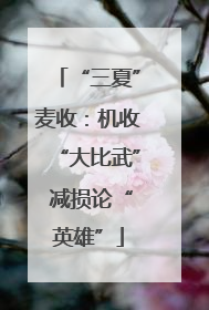 “三夏”麦收：机收“大比武” 减损论“英雄”