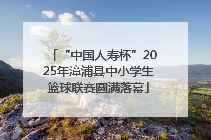 “中国人寿杯”2025年漳浦县中小学生篮球联赛圆满落幕
