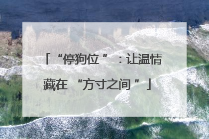 “停狗位 ”：让温情藏在 “方寸之间 ”
