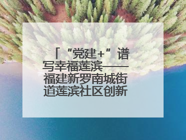 “党建+”谱写幸福莲滨——福建新罗南城街道莲滨社区创新治理模式探访