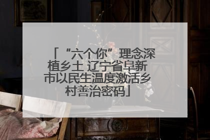 “六个你”理念深植乡土 辽宁省阜新市以民生温度激活乡村善治密码