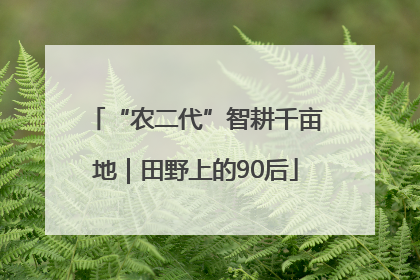 “农二代”智耕千亩地｜田野上的90后