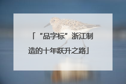 “品字标”浙江制造的十年跃升之路