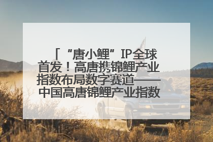“唐小鲤”IP全球首发！高唐携锦鲤产业指数布局数字赛道——中国高唐锦鲤产业指数暨“唐小鲤”IP全球首发仪式在杭州举行