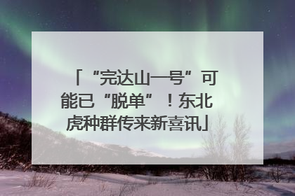 “完达山一号”可能已“脱单”！东北虎种群传来新喜讯