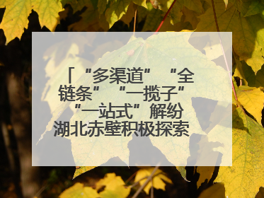 “多渠道”“全链条”“一揽子”“一站式”解纷 湖北赤壁积极探索综治中心规范化建设新路子