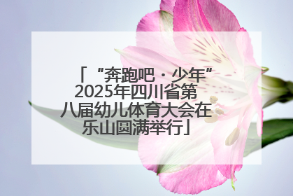 “奔跑吧・少年”2025年四川省第八届幼儿体育大会在乐山圆满举行