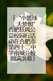 “小篮球，大梦想”合肥狂风公益校园行活动在合肥市第四十二中学南城分校圆满落幕