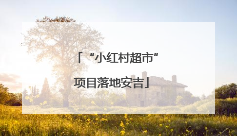 “小红村超市”项目落地安吉