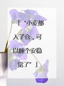 “小麦都入了仓，可以睡个安稳觉了”