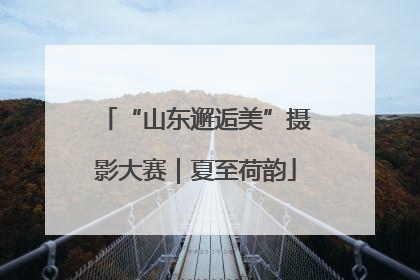 “山东邂逅美”摄影大赛｜夏至荷韵