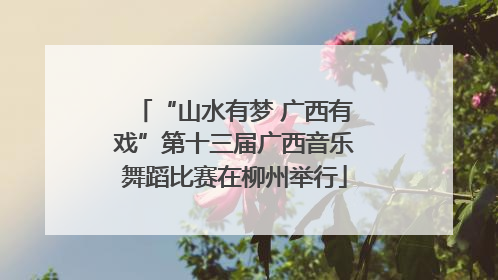 “山水有梦 广西有戏”第十三届广西音乐舞蹈比赛在柳州举行