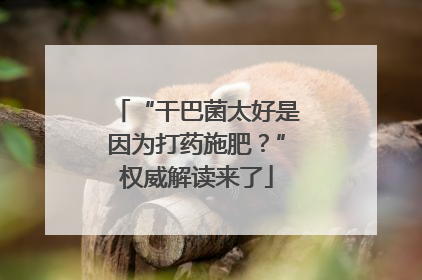 “干巴菌太好是因为打药施肥？”权威解读来了