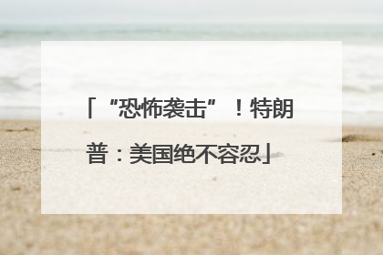 “恐怖袭击”！特朗普：美国绝不容忍