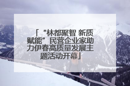“林都聚智 新质赋能”民营企业家助力伊春高质量发展主题活动开幕