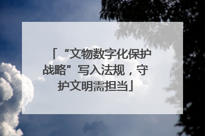 “文物数字化保护战略”写入法规，守护文明需担当