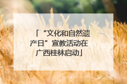 “文化和自然遗产日”宣教活动在广西桂林启动