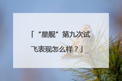 “星舰”第九次试飞表现怎么样？