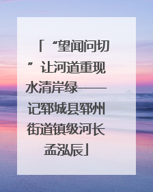 “望闻问切”让河道重现水清岸绿——记郓城县郓州街道镇级河长孟泓辰