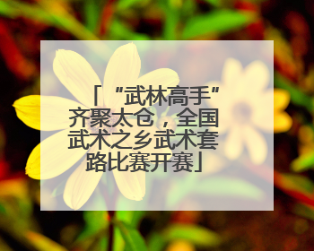 “武林高手”齐聚太仓，全国武术之乡武术套路比赛开赛