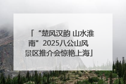 “楚风汉韵 山水淮南”2025八公山风景区推介会惊艳上海