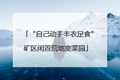 “自己动手丰衣足食”矿区闲置荒地变菜园