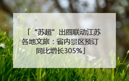 “苏超”出圈联动江苏各地文旅：省内景区预订同比增长305%