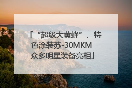 “超级大黄蜂”、特色涂装苏-30MKM 众多明星装备亮相