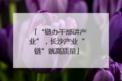 “链办干部讲产业”，长沙产业“链”就高质量