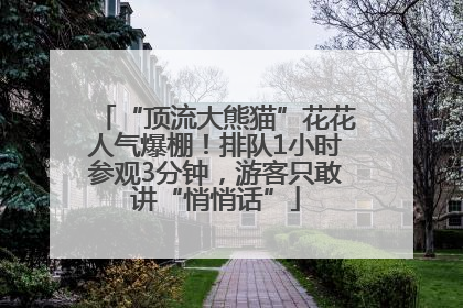 “顶流大熊猫”花花人气爆棚！排队1小时参观3分钟，游客只敢讲“悄悄话”