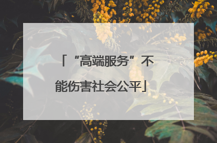 “高端服务”不能伤害社会公平