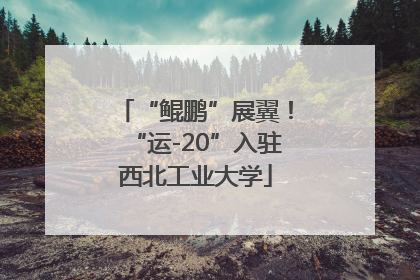 “鲲鹏”展翼！“运-20”入驻西北工业大学