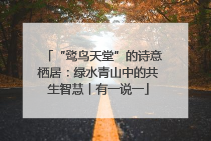 “鹭鸟天堂”的诗意栖居：绿水青山中的共生智慧丨有一说一