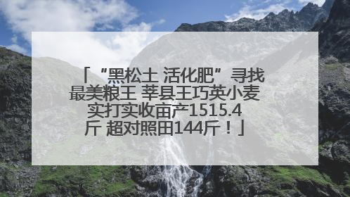 “黑松土 活化肥”寻找最美粮王 莘县王巧英小麦实打实收亩产1515.4斤 超对照田144斤！