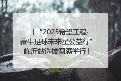 “2025希望工程·蒙牛足球未来星公益行”临沂站选拔圆满举行