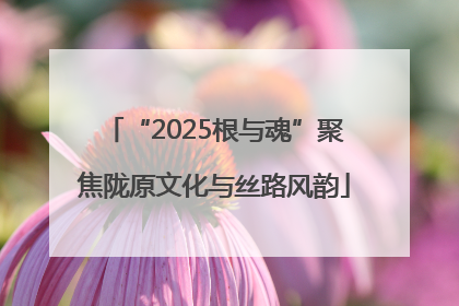 “2025根与魂”聚焦陇原文化与丝路风韵